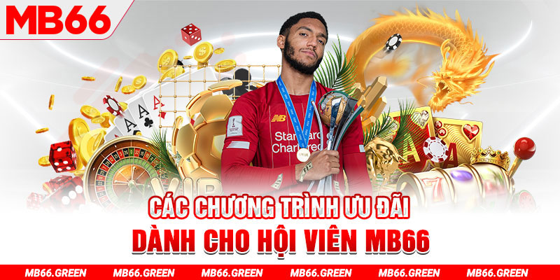Các chương trình ưu đãi dành cho hội viên MB66